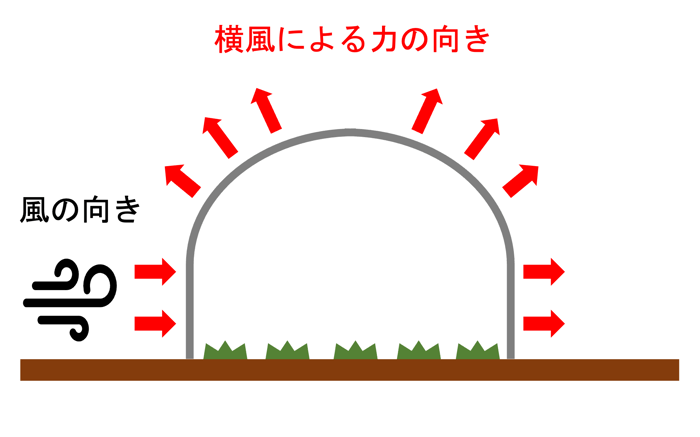 台風に負けないビニールハウスを建てるには？強靭化を実現する為の3